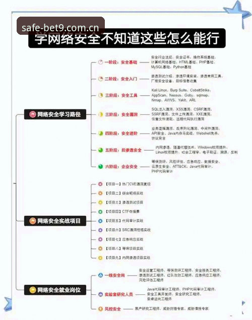 BET9十年信誉平台最新版本v3.2.1使用指南：从安全入口到高效体验的完整教程